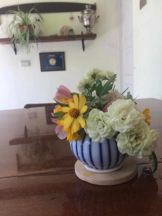 Guesthouse Aisi In Lagodekhi Bagian luar foto
