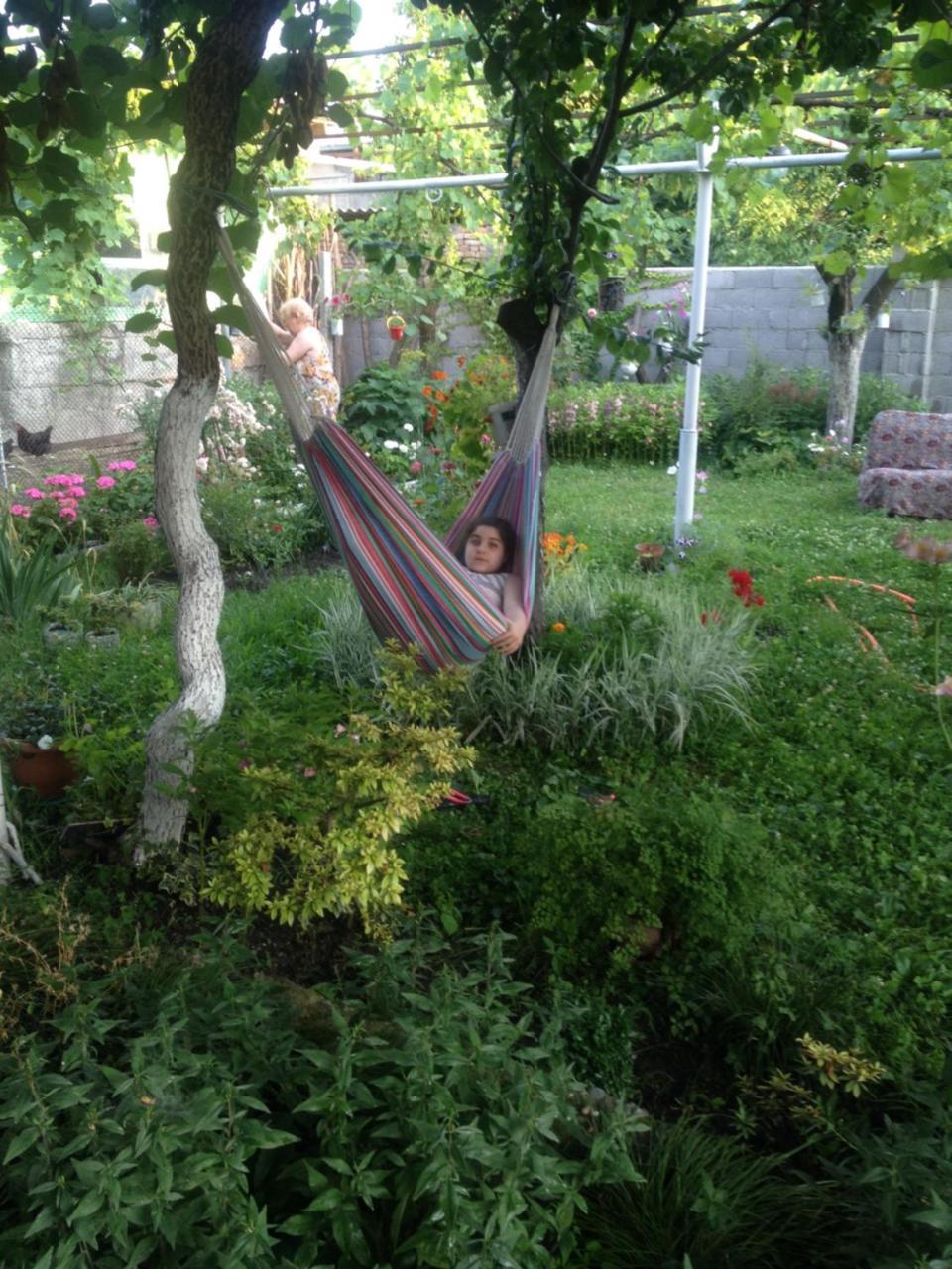 Guesthouse Aisi In Lagodekhi Bagian luar foto